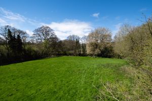 Photo 19- click for photo gallery